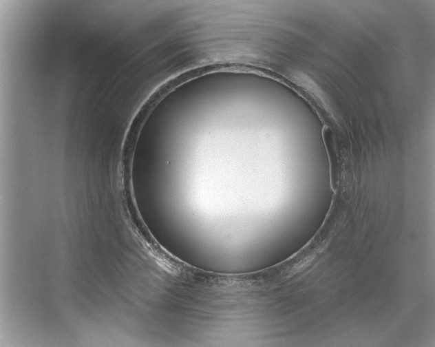 X0000075850924200609291518