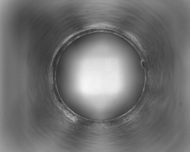 X0000075850931200609291518