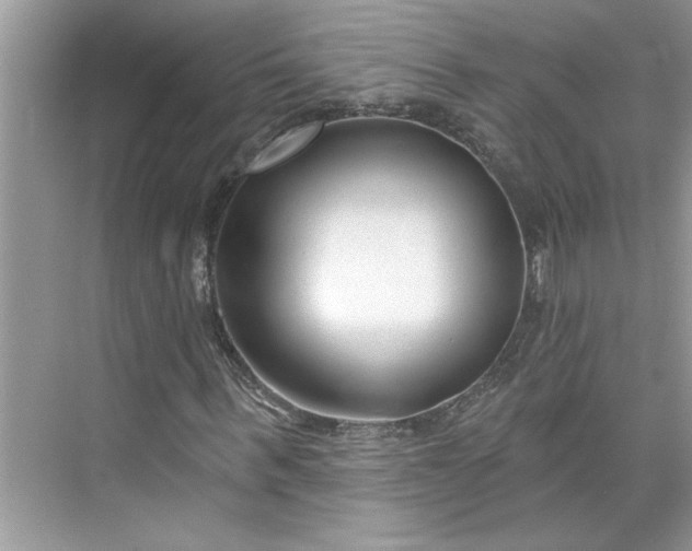 X0000075850963200609291518