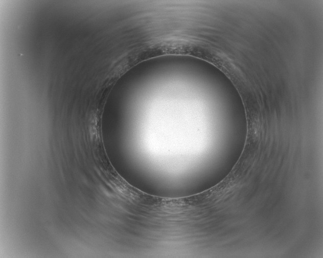 X0000075850964200609291518