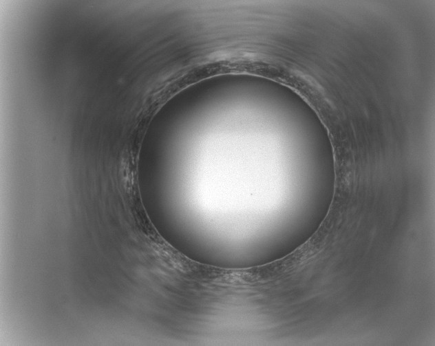 X0000075850966200609291518