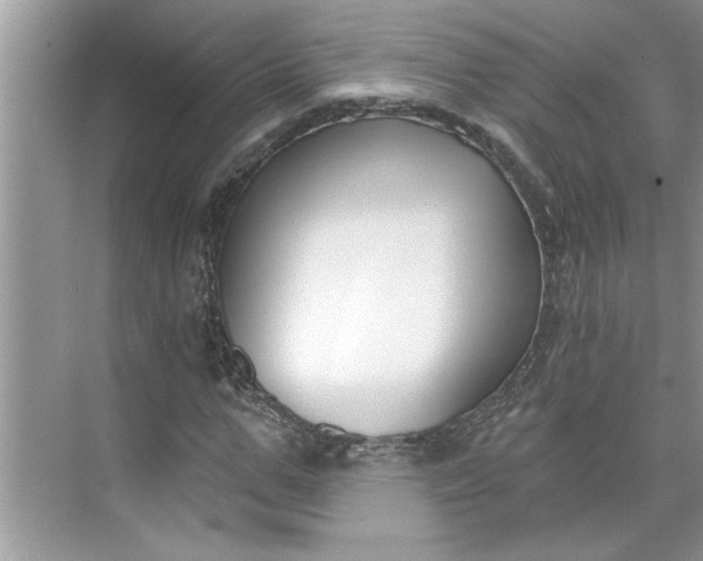 X0000075850967200609291518