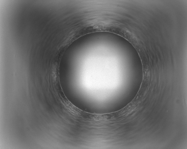 X0000075851012200609291516