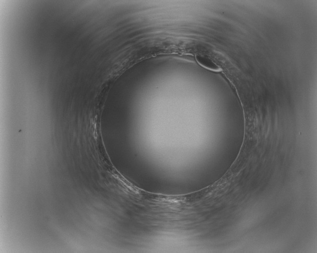 X0000075851013200609291516