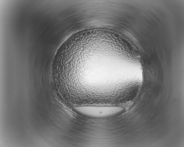 X0000075851023200609291516