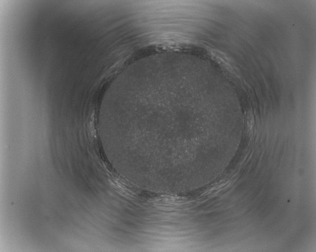 X0000075851060200609291516