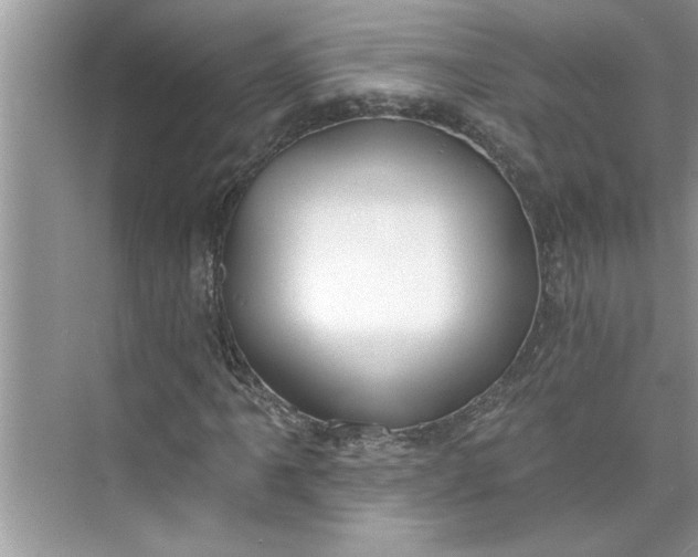 X0000075851061200609291516