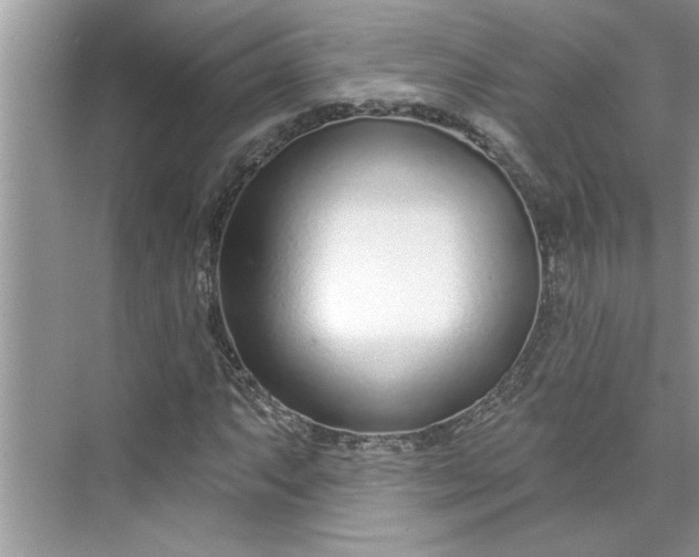 X0000075851063200609291516