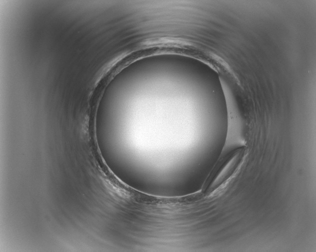 X0000075851066200609291516
