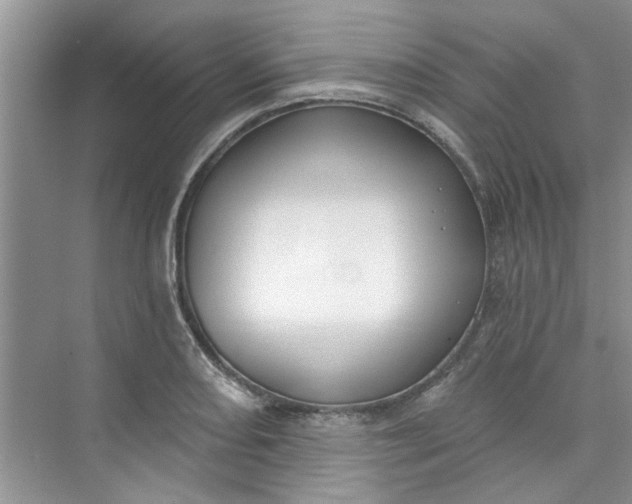 X0000075851082200609291516