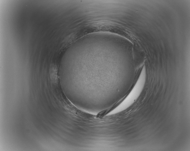 X0000075851108200609291515