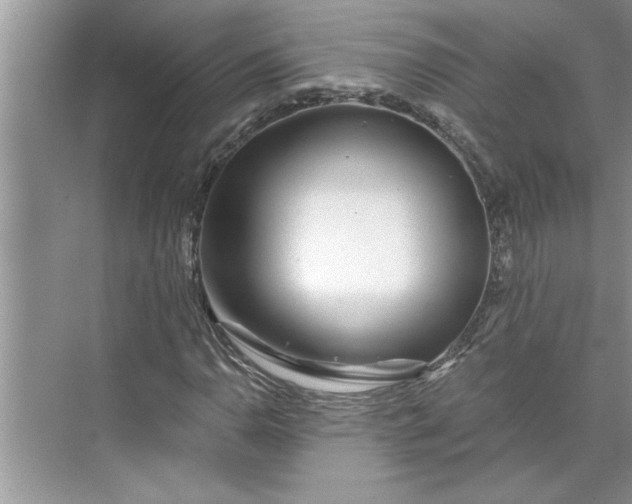 X0000075851110200609291515