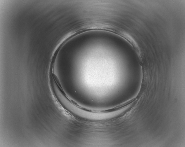 X0000075851138200609291515