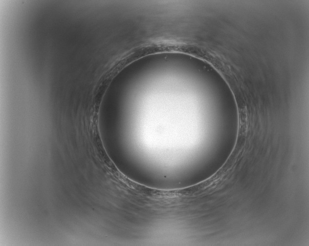 X0000075851157200609291515