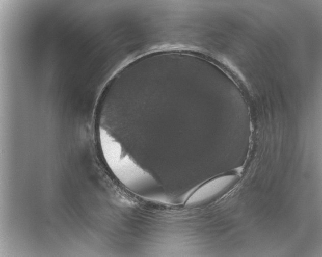 X0000075851173200609291514