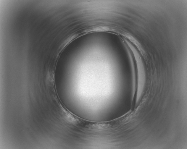 X0000075851193200609291514