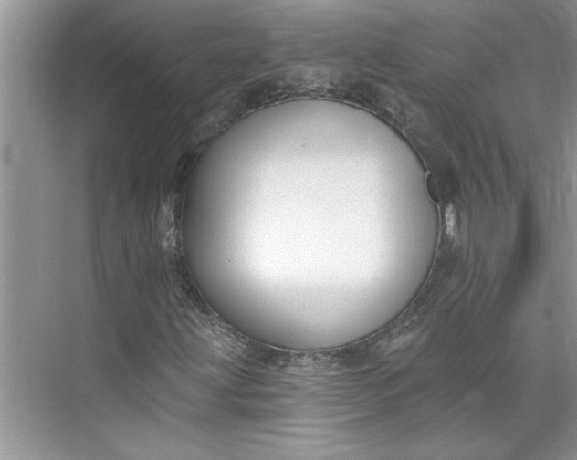 X0000075851203200609291513