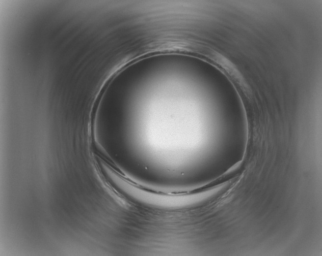 X0000075851234200609291514