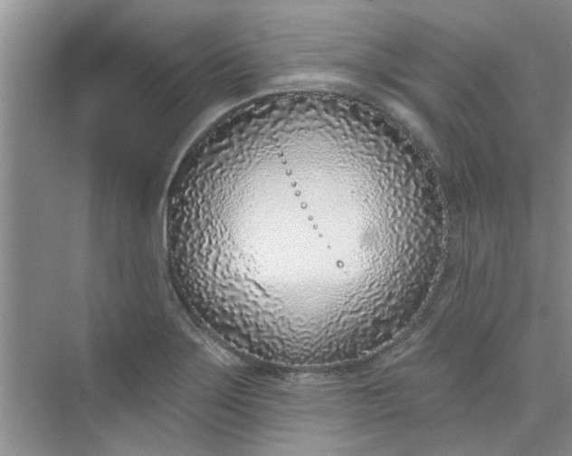 X0000075851275200609291513