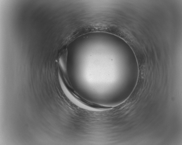 X0000075851298200609291511