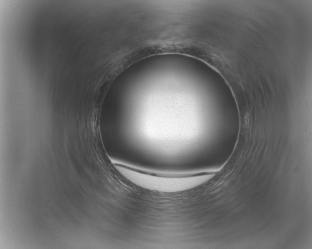 X0000075851300200609291511
