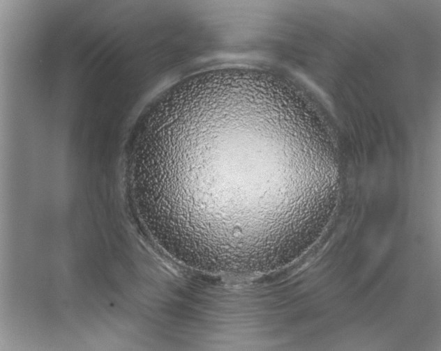 X0000075851411200609291510