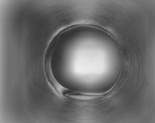 X0000075851422200609291510