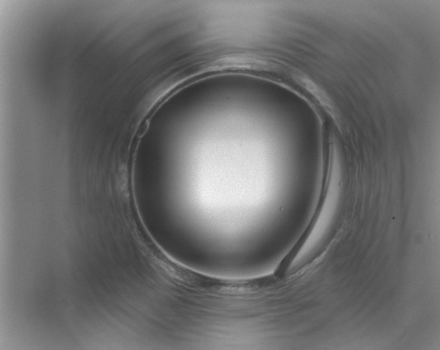 X0000075851465200609291509
