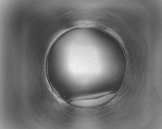X0000075851488200609291509