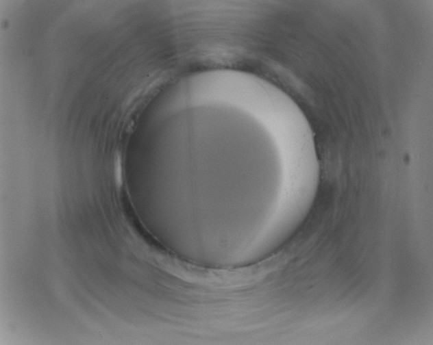 X0000075850027200610061923