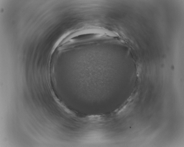 X0000075850052200610061922