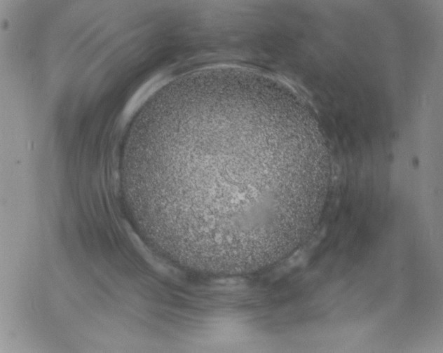 X0000075850053200610061922
