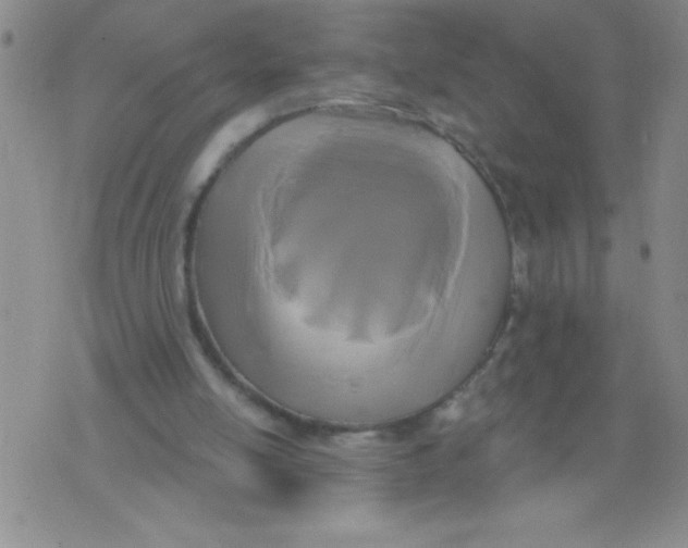 X0000075850054200610061922