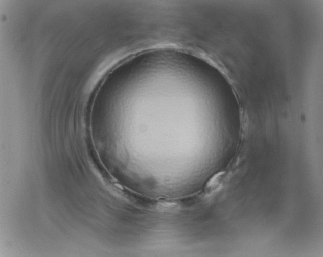 X0000075850055200610061922