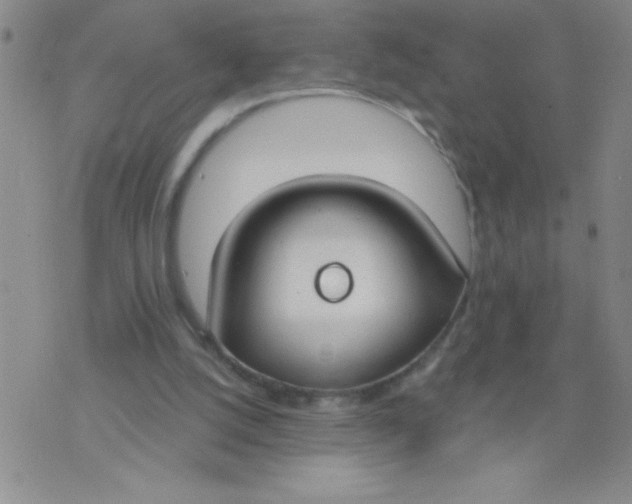 X0000075850056200610061922