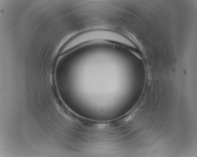 X0000075850060200610061922
