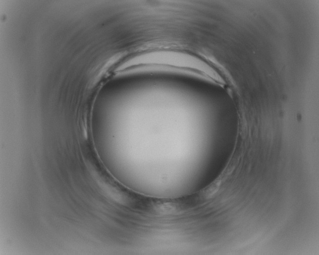 X0000075850062200610061922