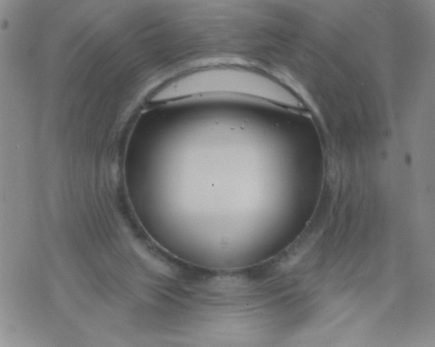 X0000075850063200610061922