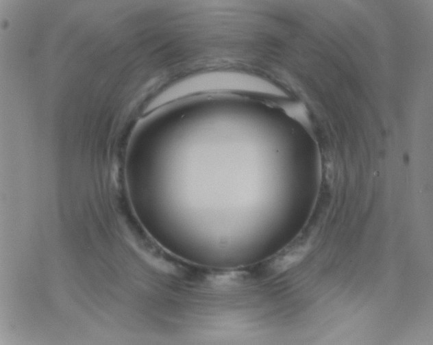 X0000075850072200610061922