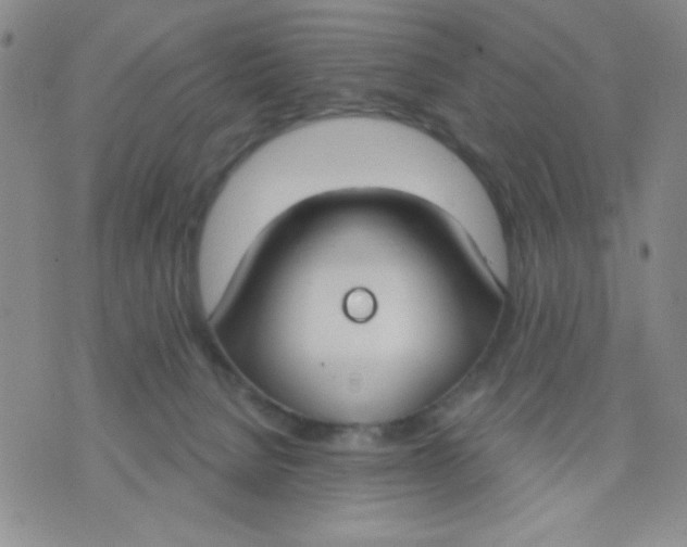 X0000075850080200610061923