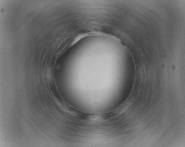 X0000075850088200610061923
