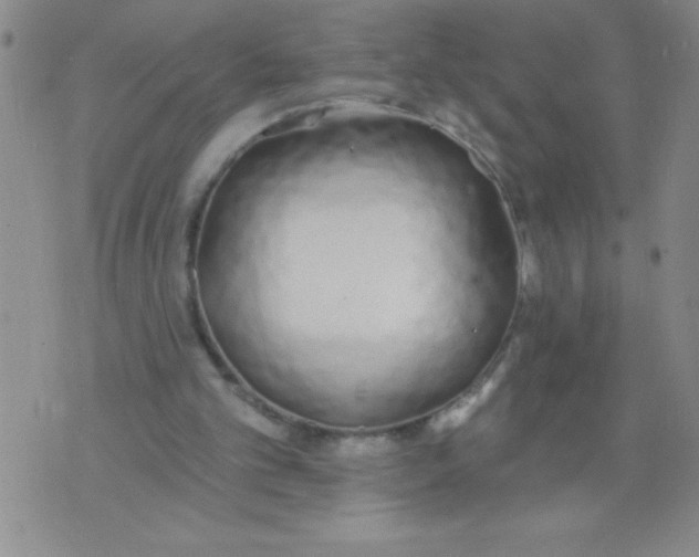 X0000075850101200610061922