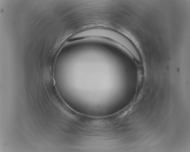 X0000075850105200610061922