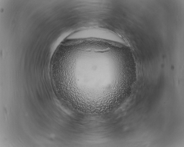 X0000075850147200610061921