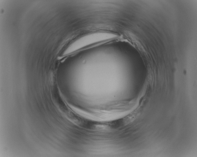 X0000075850167200610061921