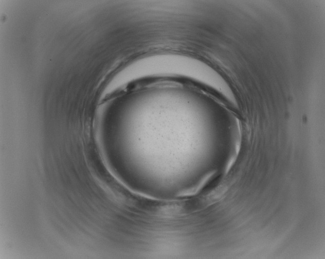 X0000075850168200610061921