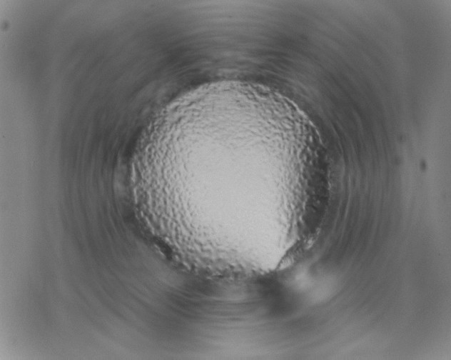 X0000075850181200610061921