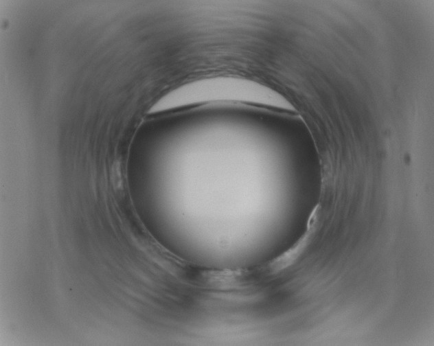 X0000075850182200610061921