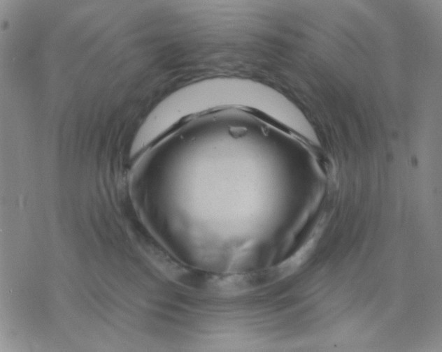 X0000075850186200610061921