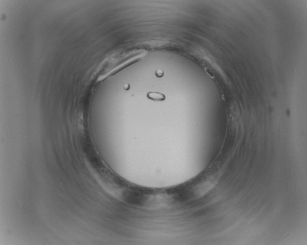 X0000075850212200610061920